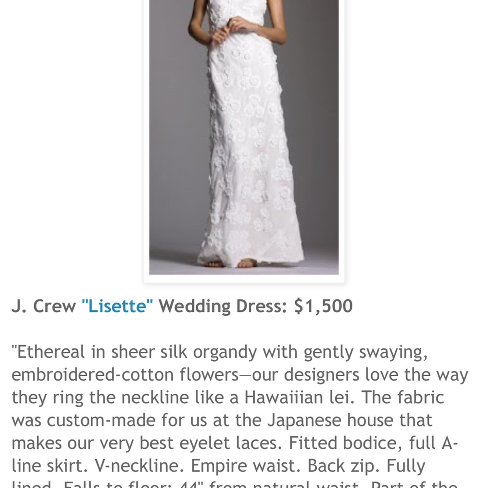 J. Crew Lisette wedding gown - Picture 15 of 15